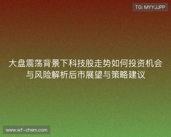 大盘震荡背景下科技股走势如何投资机会与风险解析后市展望与策略建议